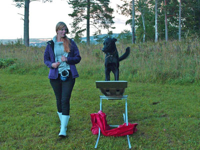 Diverse från kurser, agility mm