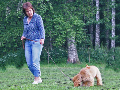 Diverse från kurser, agility mm