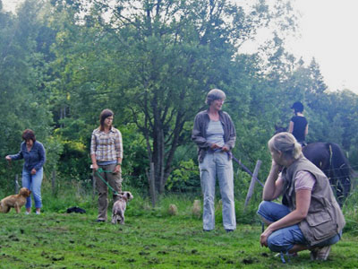 Diverse från kurser, agility mm