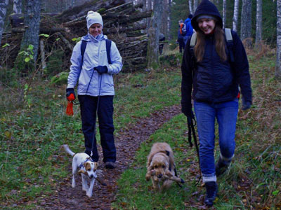 Diverse från kurser, agility mm
