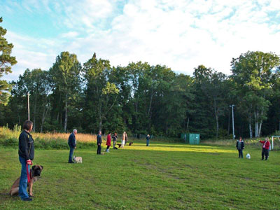 Diverse från kurser, agility mm