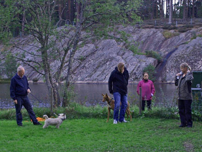 Diverse från kurser, agility mm
