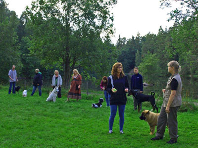Diverse från kurser, agility mm