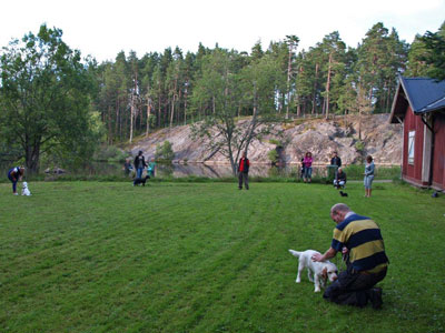 Diverse från kurser, agility mm