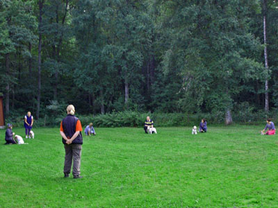 Diverse från kurser, agility mm