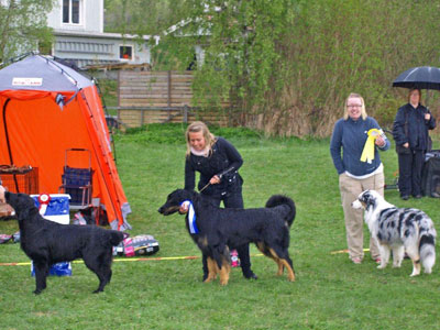 Utställning 1 maj 2011