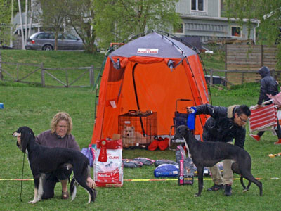 Utställning 1 maj 2011