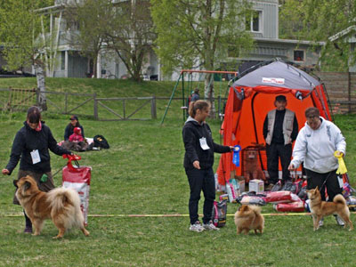 Utställning 1 maj 2011