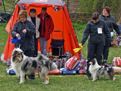 Utställning 1 maj 2011