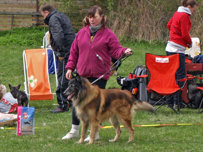 Utställning 1 maj 2011