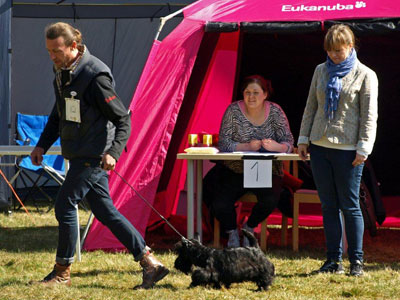 Utställning 1 maj 2012