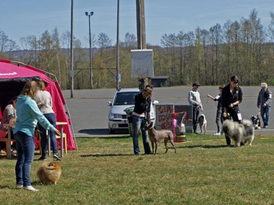 Utställning 1 maj 2012