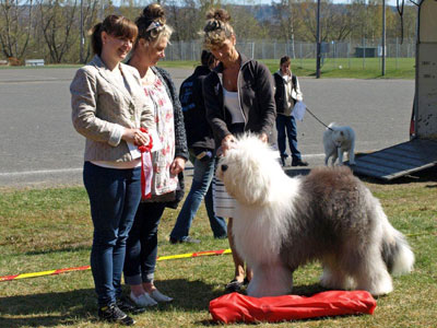 Utställning 1 maj 2012