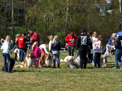 Utställning 1 maj 2012