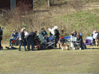 Utställning 1 maj 2013