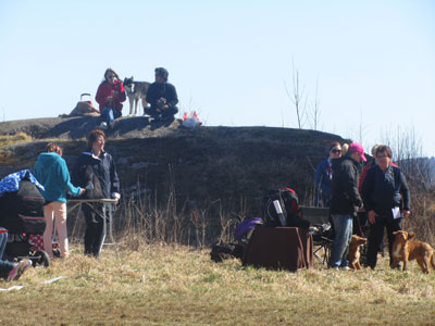 Utställning 1 maj 2013