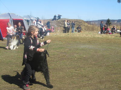 Utställning 1 maj 2013