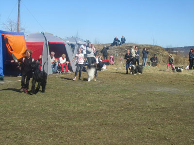 Utställning 1 maj 2013