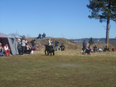 Utställning 1 maj 2013