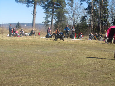 Utställning 1 maj 2013