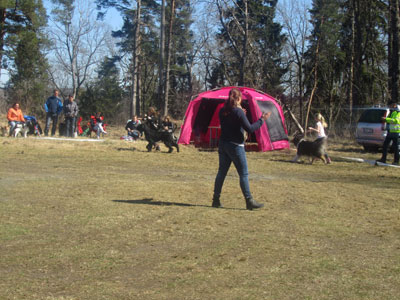 Utställning 1 maj 2013