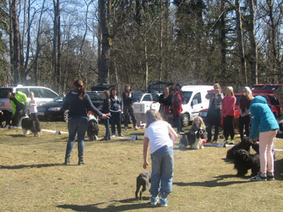 Utställning 1 maj 2013