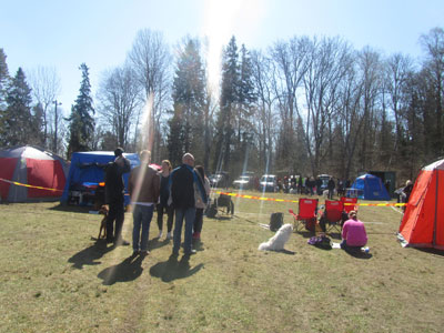 Utställning 1 maj 2013