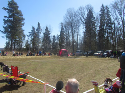 Utställning 1 maj 2013