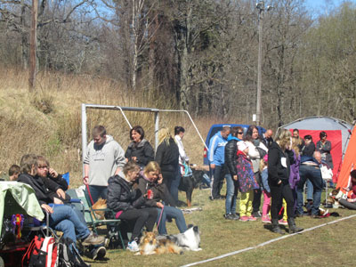 Utställning 1 maj 2013