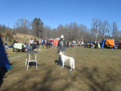 Utställning 1 maj 2013