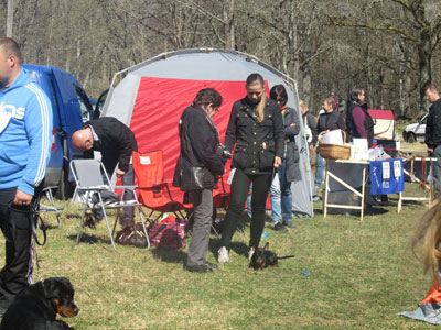 Utställning 1 maj 2013