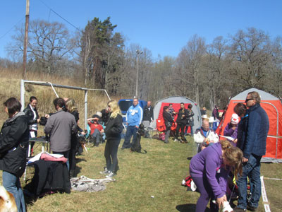 Utställning 1 maj 2013