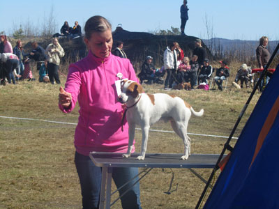 Utställning 1 maj 2013