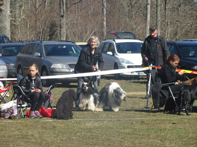 Utställning 1 maj 2013