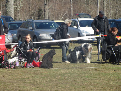 Utställning 1 maj 2013