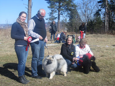 Utställning 1 maj 2013