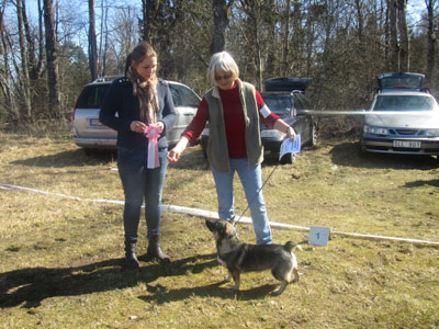 Utställning 1 maj 2013