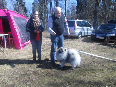 Utställning 1 maj 2013