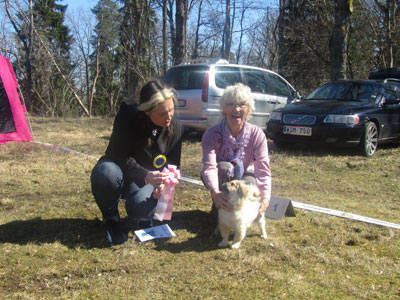 Utställning 1 maj 2013