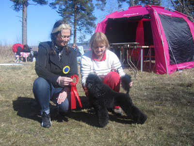 Utställning 1 maj 2013