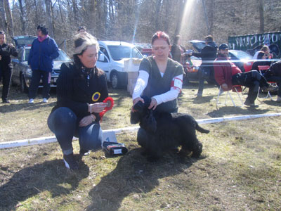 Utställning 1 maj 2013