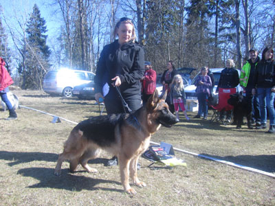 Utställning 1 maj 2013