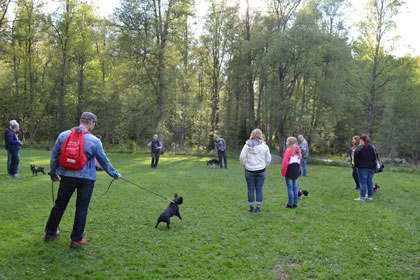 Kursverksamhet